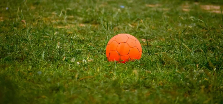 fotballgolf-ball i gress